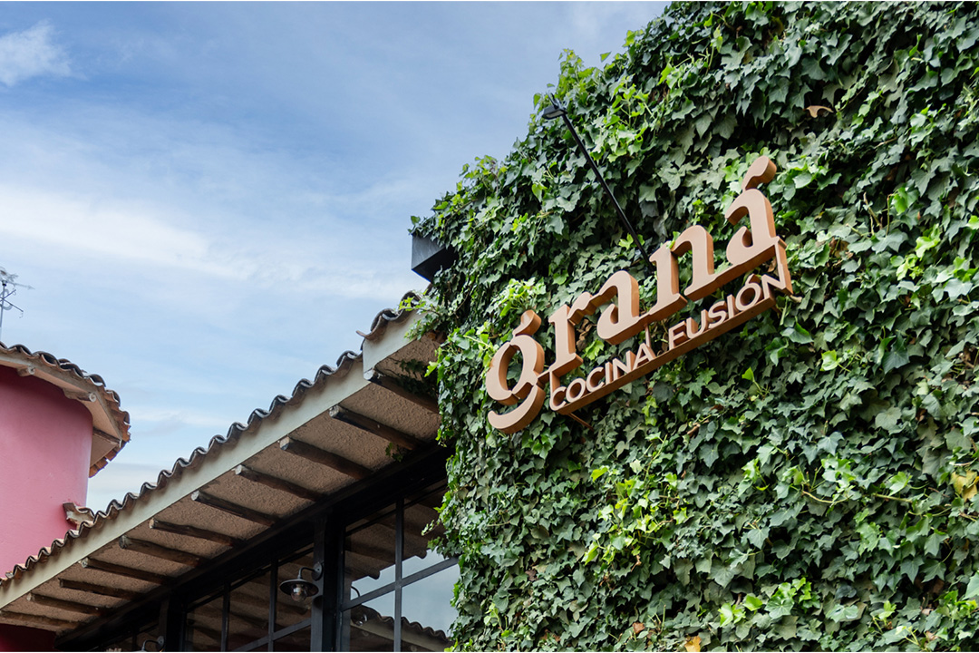 grana 3
